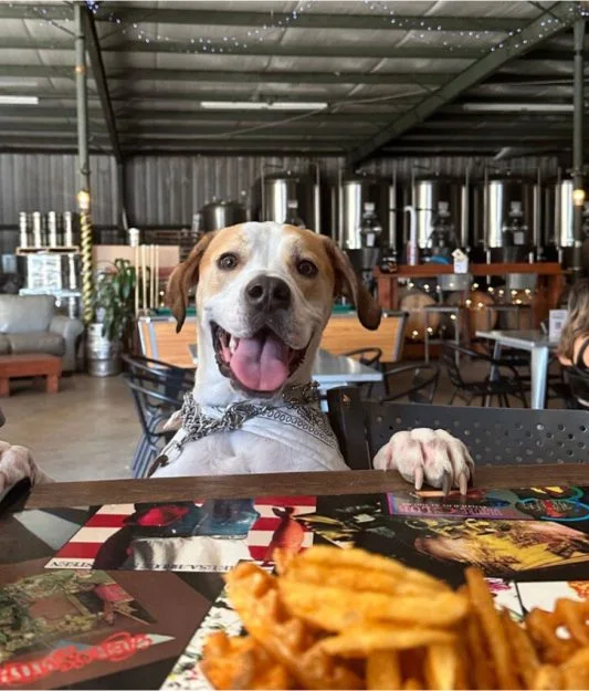 Snafu Brewing Company business photo